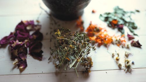 有关乾燥花, 枯叶, 特写的免费素材视频