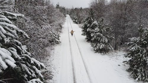 有关下雪, 下雪的, 冬季仙境的免费素材视频