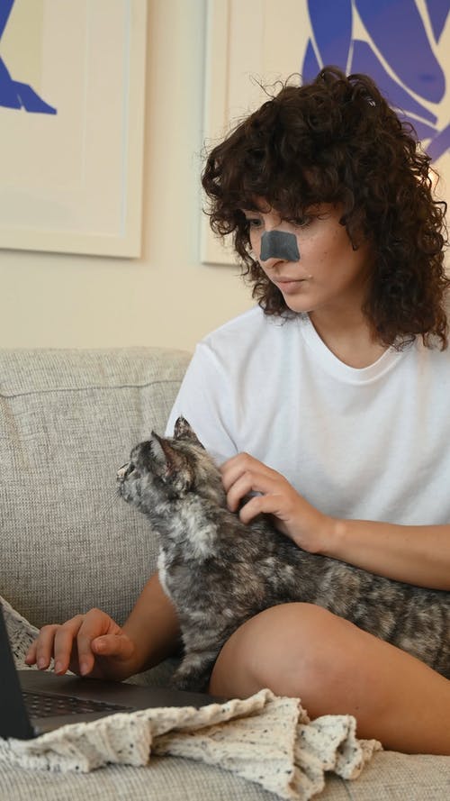 一个女人抚摸她的猫时使用一台笔记本电脑 · 免费素材视频