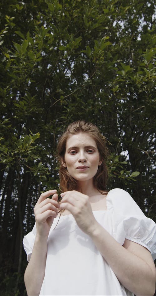 有关低角度视图, 垂直视频, 天性的免费素材视频