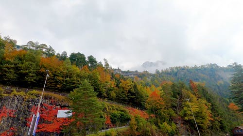 有关atmosfera de outono, 低角度拍摄, 倾斜射击的免费素材视频