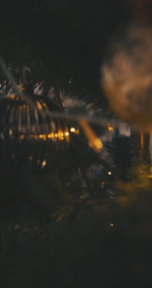 有关传统, 垂直视频, 灯光的免费素材视频