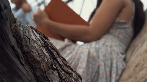 一对夫妇和他们的书一起爬在一棵树上 · 免费素材视频