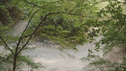 有关天性, 小径, 户外的免费素材视频