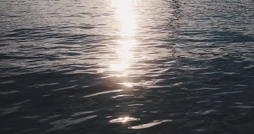 有关反射, 天性, 户外的免费素材视频