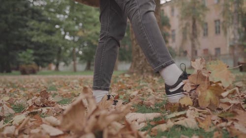 有关下落, 枯叶, 步行的免费素材视频