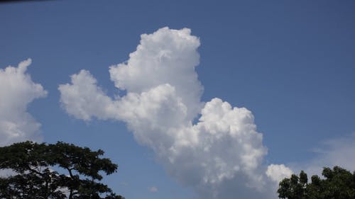 有关多云的天空, 天气, 树木的免费素材视频