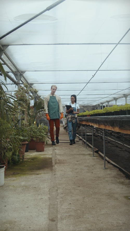 有关一起, 人, 保重的免费素材视频