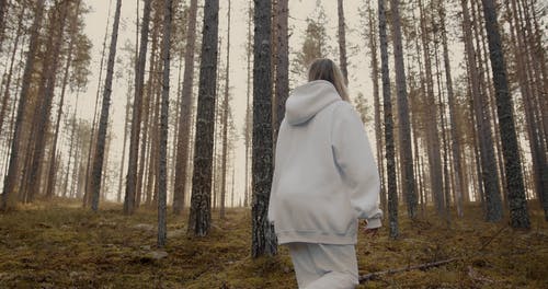 有关不露面, 人, 光的免费素材视频