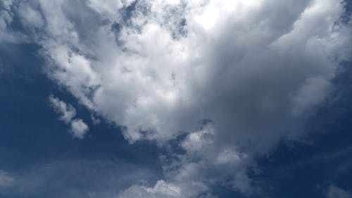 有关天性, 户外, 白天的免费素材视频