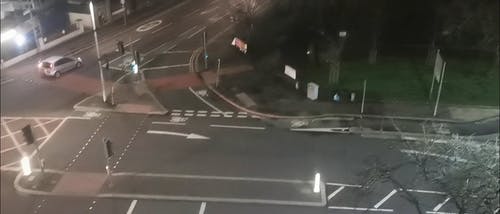 有关快速, 户外, 树木的免费素材视频