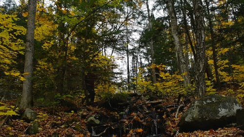 有关下落, 休闲, 健行的免费素材视频