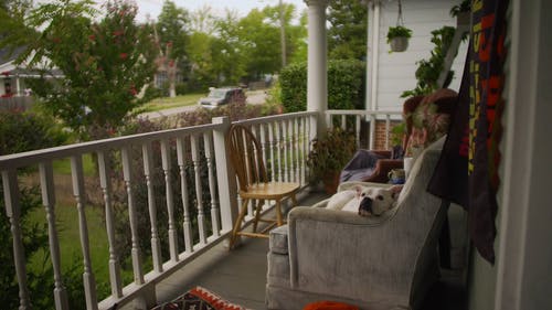 有关休息, 住宅, 家畜的免费素材视频