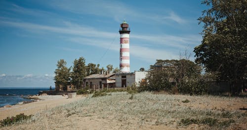 有关一对, 人, 停的免费素材视频