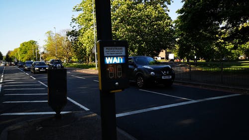 有关忙, 户外, 树木的免费素材视频