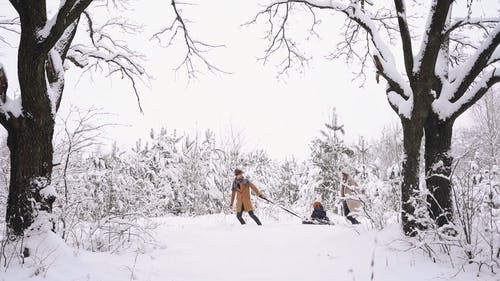 有关下雪, 人, 侧面图的免费素材视频