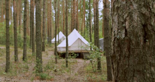 有关backgound, glamping, 冒险的免费素材视频