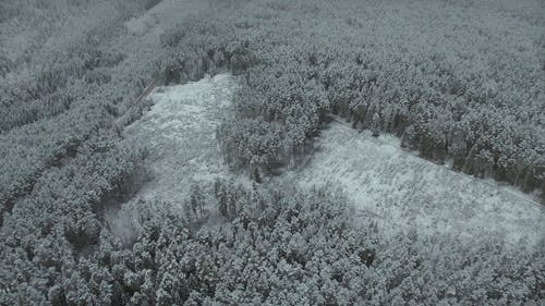 有关冬季, 冷, 天性的免费素材视频