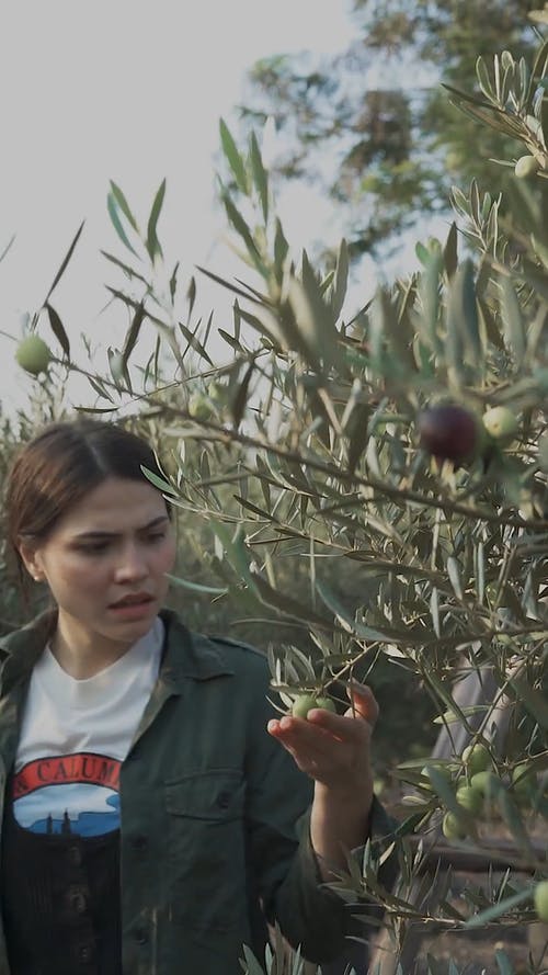 有关人, 切, 切割的免费素材视频