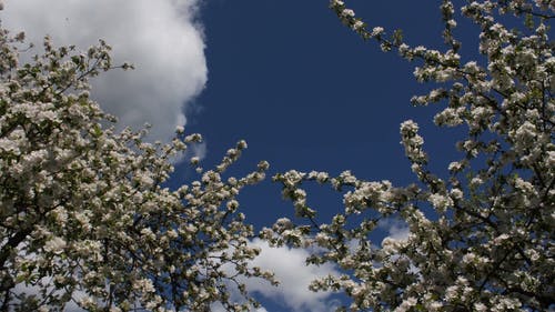 有关低角度拍摄, 天空, 游戏中时光倒流的免费素材视频