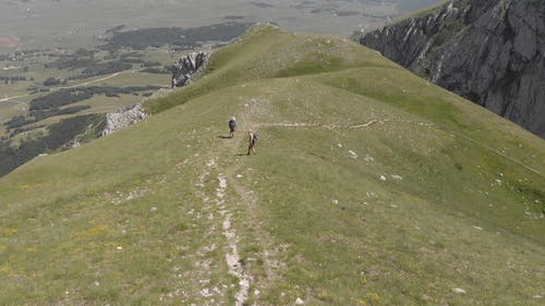 有关4k, 壮观, 天性的免费素材视频