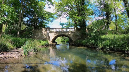 有关天性, 平静的水面, 户外的免费素材视频