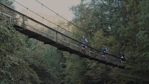 有关丛林桥, 亚军, 人们跑步的免费素材视频