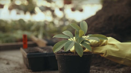 有关土, 室内, 工人的免费素材视频
