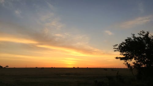 有关天性, 天空, 户外的免费素材视频