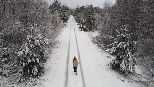 有关下雪, 冬季, 冬季景观的免费素材视频