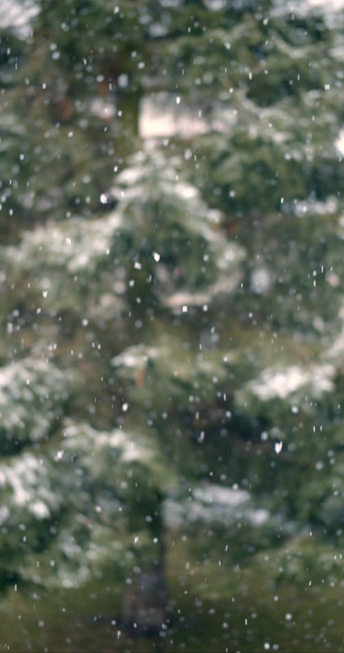 有关下雪, 下雪的天气, 冬季的免费素材视频