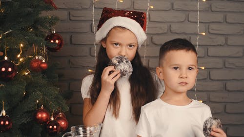 有关可爱, 吃, 圣诞气氛的免费素材视频