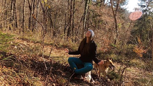 有关@户外, 享受, 休息的免费素材视频