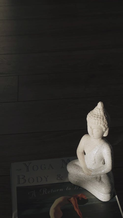 有关佛像, 佛教, 健康的免费素材视频