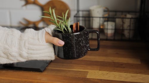 有关女人, 家, 厨房的免费素材视频