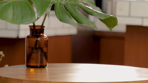 有关雇员, 咖啡店, 咖啡厅的免费素材视频