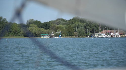 有关前景, 天性, 岸边的免费素材视频