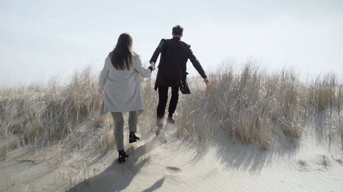 有关一对, 人, 多风的免费素材视频