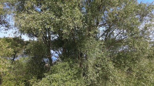 有关天性, 天空, 户外的免费素材视频