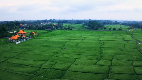 有关DJI, 下田, 亚洲的免费素材视频