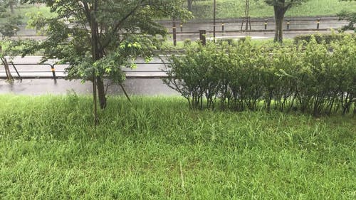 有关下雨, 下雨了, 下雨天的免费素材视频