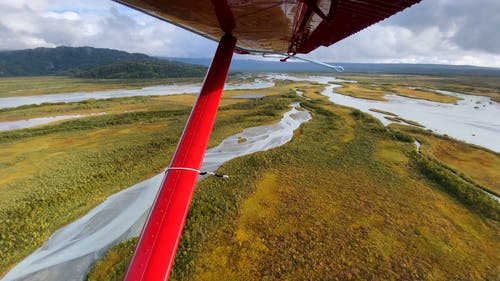 有关天性, 户外, 江滩的免费素材视频