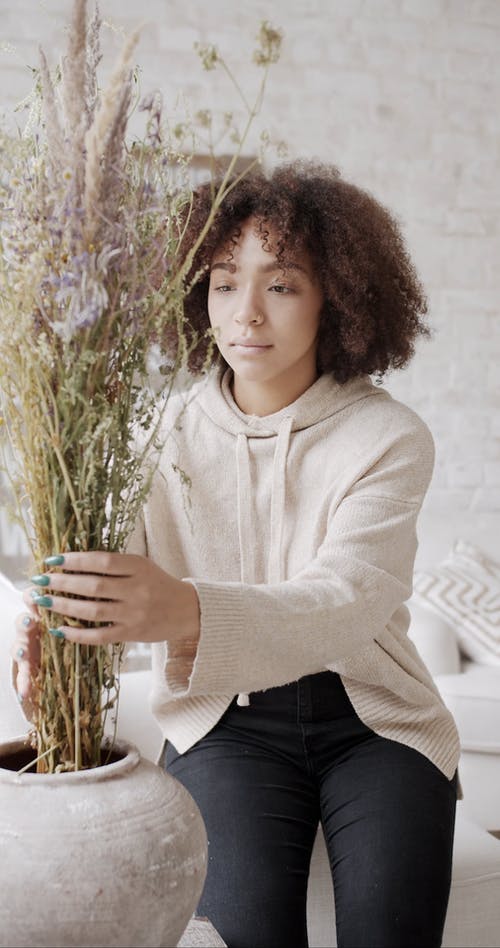 有关乾燥花, 垂直视频, 室内的免费素材视频