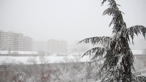 有关下雪, 冬季, 冰的免费素材视频