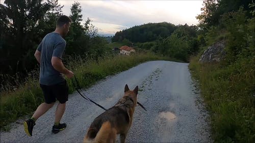 有关人, 人类最好的朋友, 健身的免费素材视频