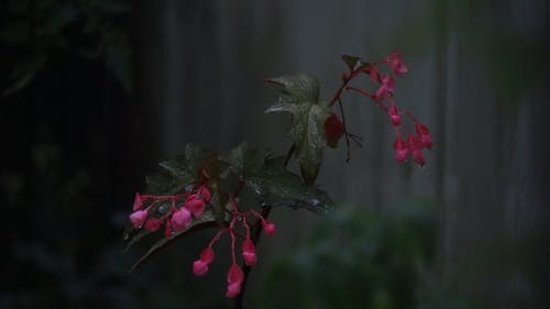 有关下雨, 下雨天, 工厂的免费素材视频