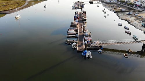 有关天性, 户外, 水上技能的免费素材视频