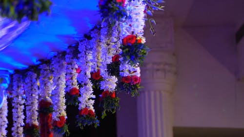 有关低角度拍摄, 室内, 挂的免费素材视频