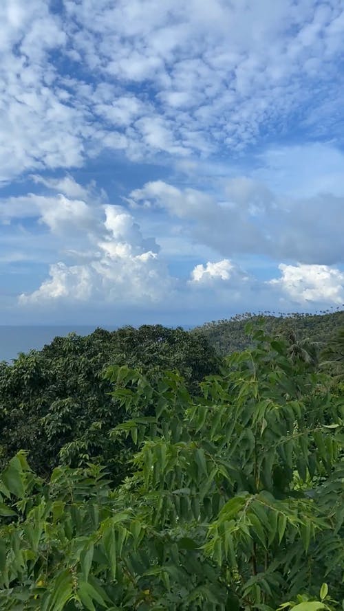 有关丘陵, 卷云, 垂直视频的免费素材视频