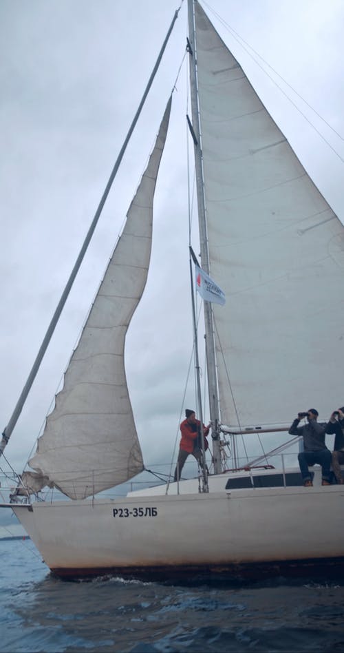 有关一组工作人员, 冒险, 划船的免费素材视频